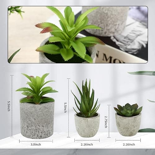 5 Stück Kunstpflanze, Mini Künstliche Pflanzen Schlangenzunge, Agave Sukkulente, Eagle Claw Aloe, Künstliche Pflanzen für Schlafzimmer Büro Dekoration thumbnail 4