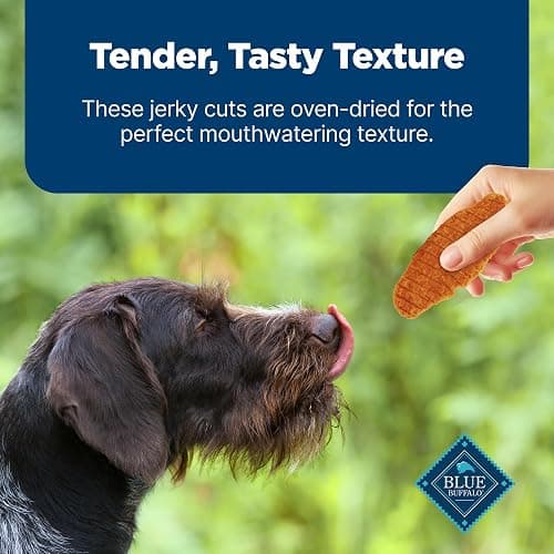 Blue Buffalo Nudges Jerky Cuts Dog Treats, Made in the USA with Natural Ingredients, Chicken & Duck, 16-oz Bag thumbnail 6