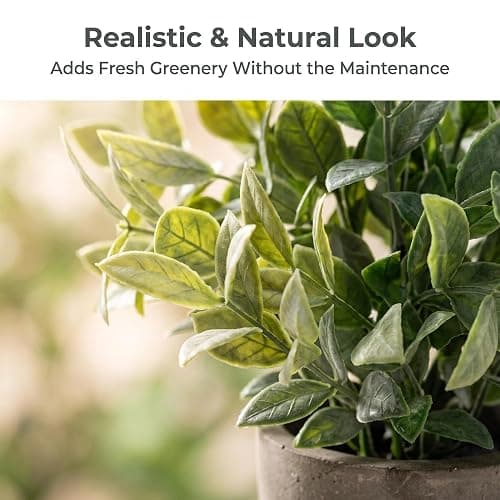 AUUGUU Artificial Potted Plants Faux Greenery in Cement Pots for Shelf, Bookshelf, Office or Home Decor, Small Decorative Fake Plants for Modern Indoor Display thumbnail 5