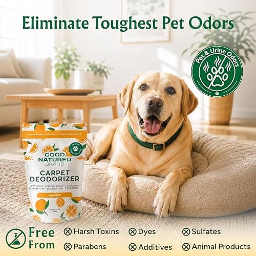 Good Natured Brand Carpet Deodorizer & Pet Odor Eliminator Powder, 31oz | Pet & Urine Odor Remover, Moisture Absorber & Air Freshener | For Fabric, Car Interior, Shoes, Closet, Laundry | Orange thumbnail 3