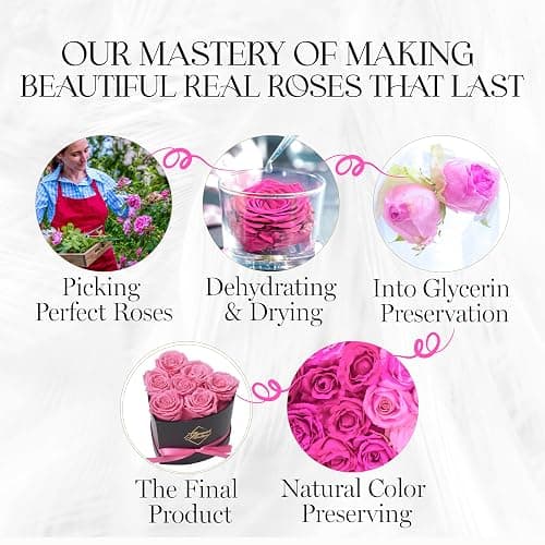 GLAMOUR BOUTIQUE 7 Flower Forever Heart Shape Box - Preserved Roses Gift for Her, Preserved Flowers, Pink thumbnail 7