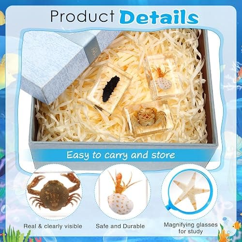 Rotatingpals 9 Pcs Marine Ocean Life Specimen Set Term Begins for Gifts Sea Animal Insect in Resin Collection Paperweights with Magnifier Animal Specimen thumbnail 4