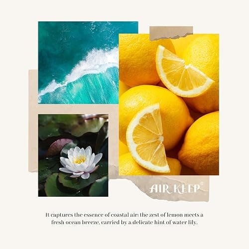 Airkeep Reed Diffuser Set,3.38 fl oz (100 ml) - Ocean Breeze Oil Diffusers with 8 Reed Sticks, Home Fragrance Reed Diffuser for Bathroom Shelf Decor thumbnail 3