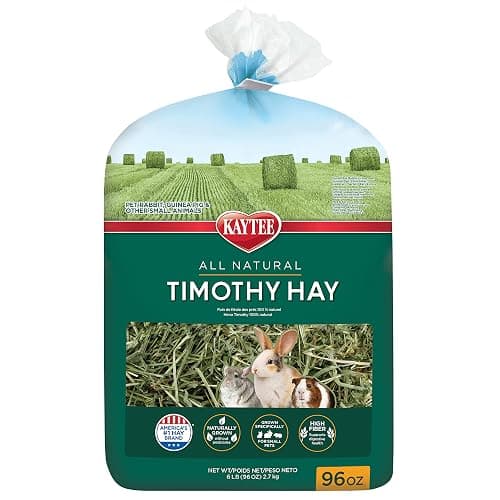 Kaytee Timothy Hay, High Fiber, Grown Specifically for Small Animals, Rabbits, Guinea Pigs, Chinchillas, 96 Ounces - Image 1