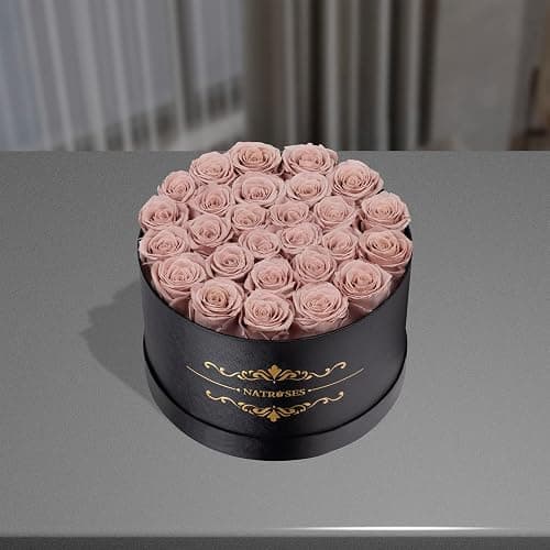 NATROSES 27 Piece Forever Preserved Roses in a Box, Preserved Flowers for Delivery Birthday, Flowers Gifts for Mothers Day, Dusty Pink thumbnail 2