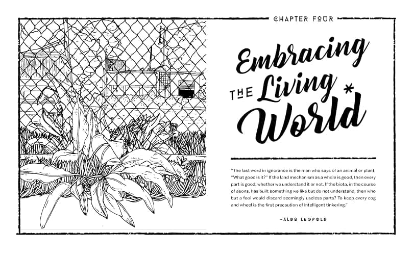 Concrete Botany: The Ecology of Plants in the Age of Human Disturbance thumbnail 3