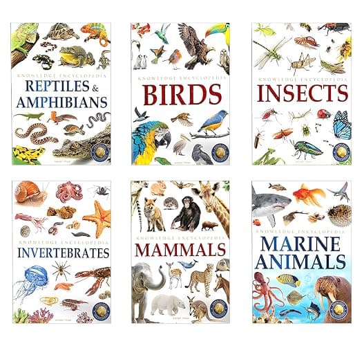 Animals: Collection of 6 Books: Knowledge Encyclopedia For Children (Box Set) thumbnail 2