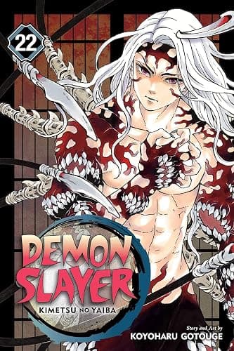 Demon Slayer: Vol 13-23 Books Collection Set thumbnail 7