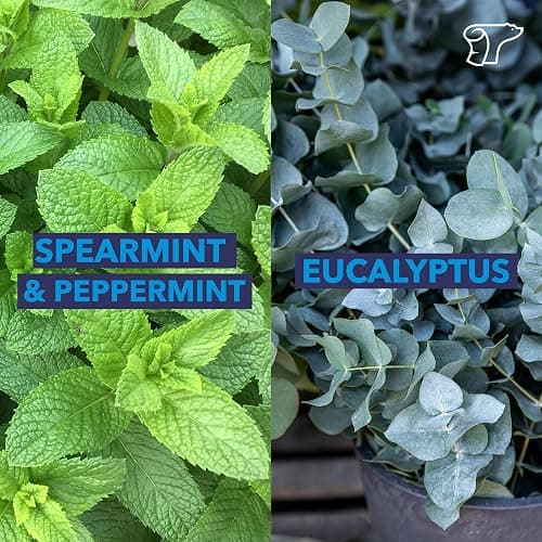 TheraICE Soothing Head Stick 10 ml (.33-Oz) Essential Oil Roll on Aromatherapy: Peppermint, Spearmint, Lavender, Chamomile, Rosemary, Eucalyptus. Metal Roller. USA Made thumbnail 4
