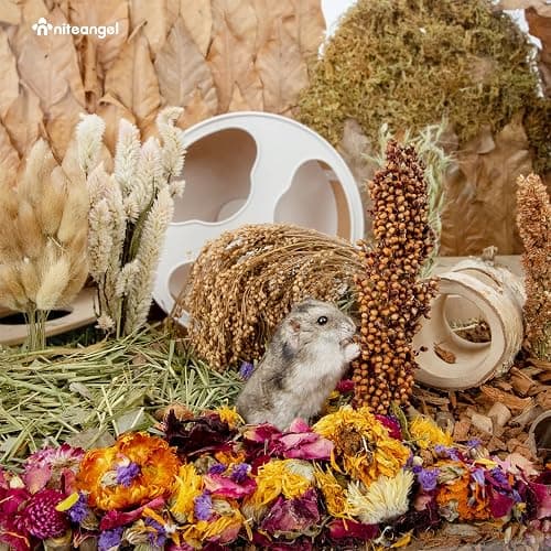 Niteangel Natural & Soft Hamster Bedding for Syrian Dwarf Hamsters Gerbils Mice Degus Bunny or Other Small-Sized Pet (Natural Poem Version) thumbnail 7