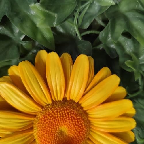 Vivid Arts - Marguerite jaune à suspendre avec abeille – Décoration de jardin à l'intérieur ou à l'extérieur thumbnail 8