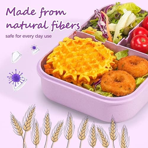MISS BIG Lunch Box Kids, Leak Proof Lunch Containers, Mom’s Choice No BPAs and No Chemical Dyes Bento Box for Kids,Microwave and Dishwasher Safe Lunch Box (Purple M) thumbnail 5