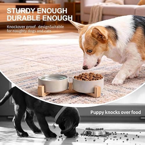 Kimdio Ceramic Dog Bowls with Wood Stand, 13.5OZ Pet Bowls Set of 2 for Medium Small Dogs and Cats - Non-Slip Base Cute Pet Food & Water Basic Bowls Glaze Matte-White thumbnail 7
