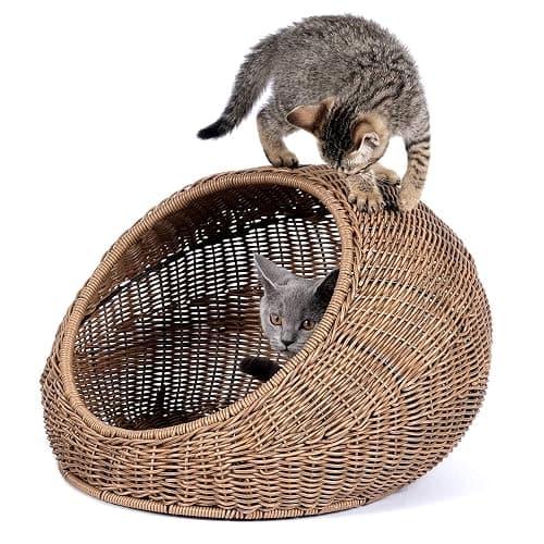 D+GARDEN Wicker Cat Bed Dome for Medium Indoor Cats - a Covered Cat Hideaway Hut of Faux Rattan Houses Pets in Dome Basket, Washable thumbnail 2