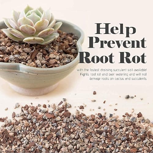 Bonsai Jack Succulent, Cactus and Bonsai Soil - Jacks Gritty Mix - 2 Gallons – Fast Draining – Fight Root Rot – Optimized pH thumbnail 3