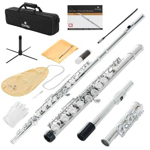 Cecilio Closed Hole C Flute - Musical Instrument, Beginner/Intermediate Flute in Band & Orchestra, Nickel - Image 1