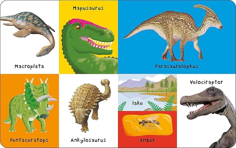 First 100 Padded: First 100 Dinosaurs: An early introduction to our pre-historic world! thumbnail 3