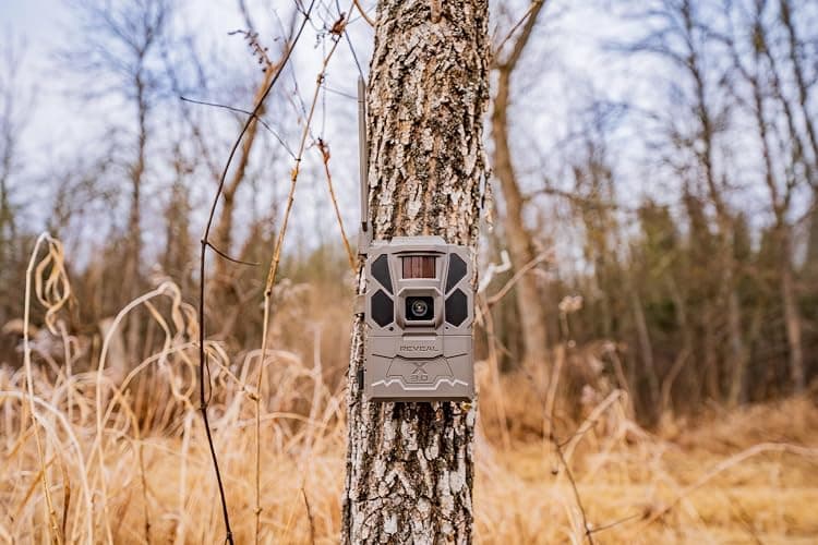 TACTACAM Reveal X 3.0 Cellular Trail Camera, Night Vision, Waterproof | 4K photo, 1080p video; auto-connect multi-carrier LTE; no SD card needed; 6+ month battery life; IP66 rated thumbnail 4