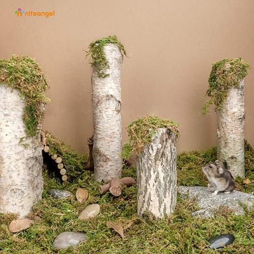 Niteangel 5L Forest Moss Soft Natural Moss Bedding Nesting for Dwarf Syrian Hamsters, Gerbils, mices, Degus or Other Small Animal thumbnail 2