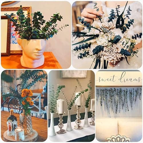16 Pcs Preserved-Dried-Eucalyptus-Branches,17" Real Natural Fresh Eucalyptus Plant for Shower, Real Eucalyptus Bunch for Vase Filler, Greenery Stem, Dried Flowers Arrangement, Floral Home Decor thumbnail 5