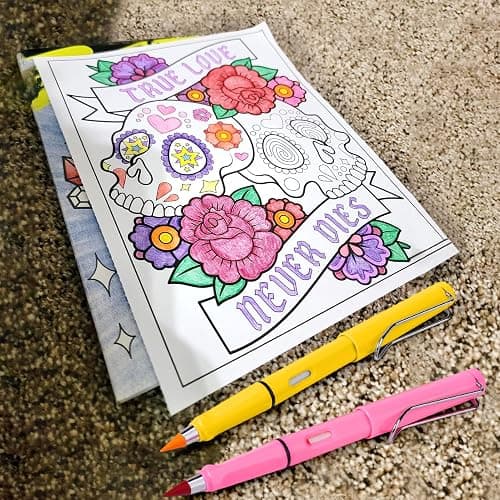 Palksky Forever Colored Pencils 12 Count, Infinity Pencil Coloring Metal Pencils, Everlasting with Eraser, Color Set, Eternal Pencil/ Inkless Lapiz Infinito/ No Sharpen Black Palksky-804 thumbnail 2