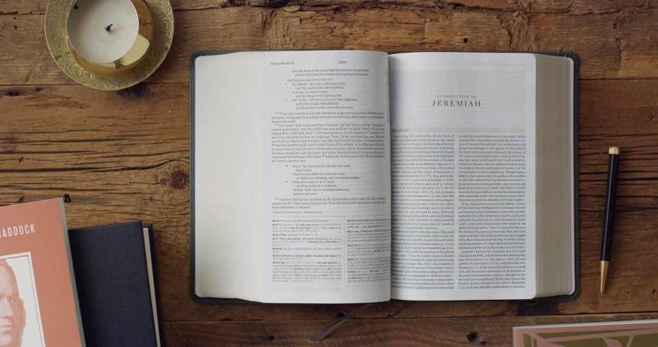ESV Study Bible, Personal Size (TruTone, Quiet Forest, Ornament Design): Holy Bible, English Standard Version thumbnail 3