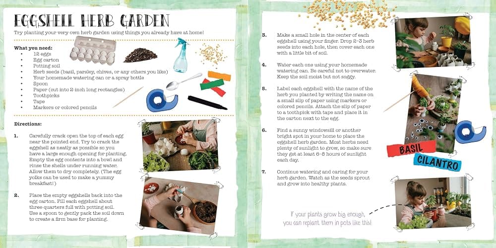How Do Seeds Grow Into Gardens?: A Hands-On Book About Gardening thumbnail 8