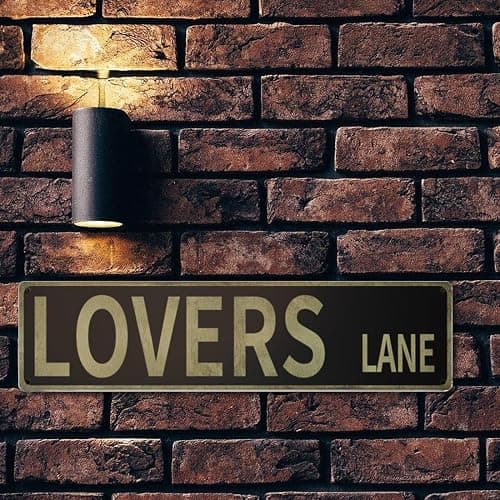 “Lovers Lane" street sign wall decor 16x4″ thumbnail 6