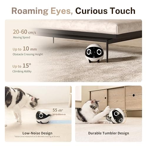 Enabot EBO ROLA Mini FamilyBot 2K Pet Camera Robot: Movable Indoor Camera Battery-Powered with Phone App, One-Touch Call, 2-Way Talk, Night Vision, Motion Detection, Video Recording thumbnail 3