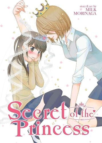 Secret of the Princess - Image 1