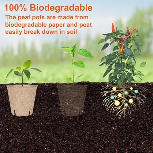 JNYONG 60 Packs 3.15 Inch Peat Pots,Biodegradable Pots for Seedlings with Drainage Holes, Garden Germination Nursery Pots with 50Pcs Plant Labels thumbnail 7