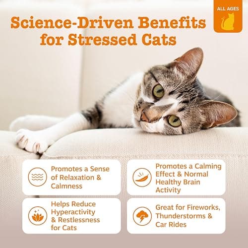 Zesty Paws Calming Mousse for Cats - Composure & Relaxation for Stress & Separation - Cat Calming Supplement with Ashwagandha, L-Theanine, Valerian Root & Vitamin B1-14 Count thumbnail 2