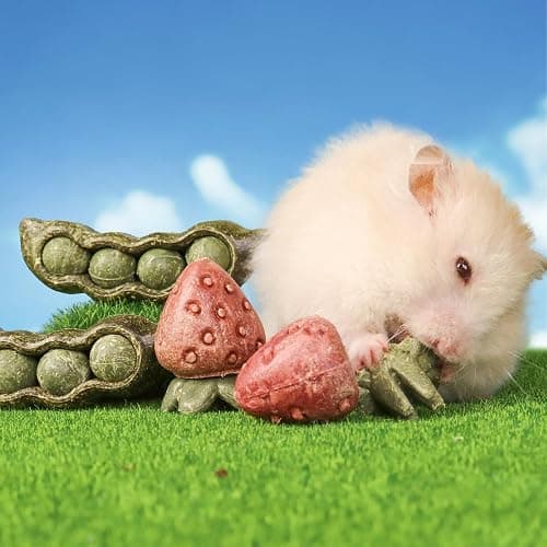 TEEWY 4PCS Guinea Pig Toys, Prevent Teeth Overgrowth, Natural Vegetables and Timothy Grass, Hamster Chew Toys, Guinea Pig Chew Toys, Chinchilla Toys, Peapod and Stawberry Chew Toy Set thumbnail 6