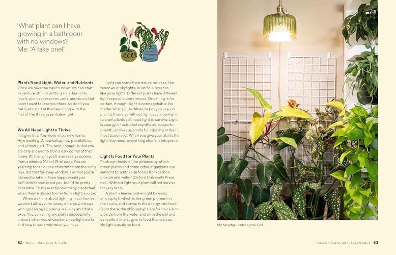More Than Just a Plant: How to Care for Your Plants as They Care for You thumbnail 8