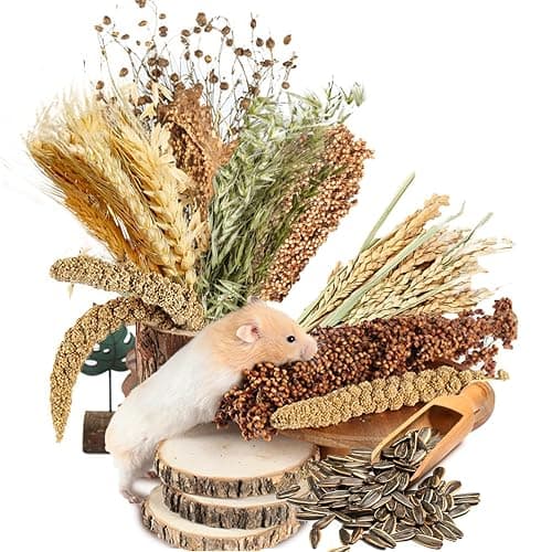NICERINC PET Natural Ear of Grain Flower&Herb Bedding Mate Habitat Decor, Adding Fun Hamster Accessories for Hamsters Gerbils Lemming | Natural Ear of Grain Flower&Herb Bedding Mate Habitat Decor, Adding Fun Hamster Accessories for Hamsters Gerbils Lemming - Image 1