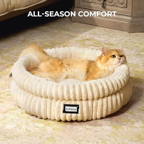 BALANCE Cat Bed Kitten Bed, Washable Round Cat Beds for Indoor Cats,Super Soft Plush Faux Fur Pet Bed for Puppy and Kitten with Anti-Slip Bottom thumbnail 4