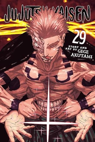 Jujutsu Kaisen, Vol. 29 - Image 1