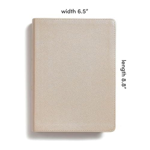CSB She Reads Truth Bible, Champagne Gold LeatherTouch, Indexed, Black Letter, Full-Color Design, Wide Margins, Journaling Space, Devotionals, Reading Plan, Single-Column, Easy-to-Read Serif Type thumbnail 11