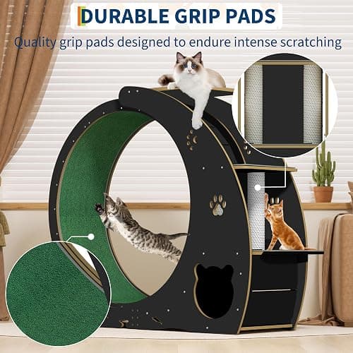 MilleLoom 4-in-1 Cat Running Wheel, Large Cat Treadmill,Large Quiet Exercise Wheel with Scratching Pad & Play Roller,Stable Wood Base for Indoor Cats thumbnail 6