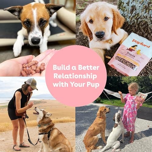 Pupford Freeze Dried Training Treats for Dogs & Puppies (Chicken, 4 oz) | 475+ treats per bag, Ultra low-calorie, Only 2 ingredients, All breed sizes, Mess free and bite sized, Trainer recommended thumbnail 6