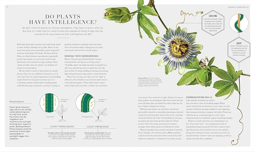 The Science of Gardening: Discover How Your Garden Really Grows thumbnail 4