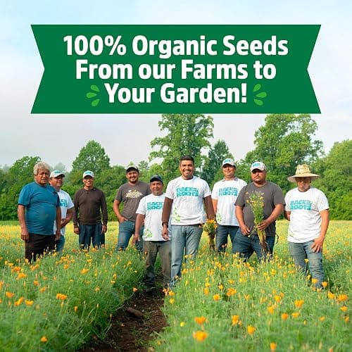 Back to the Roots Heirloom Organic, Non-GMO & USA Grown Seeds, 30ct Herb, Fruit, and Veggies, Assortment May Vary, Guaranteed to Grow thumbnail 4
