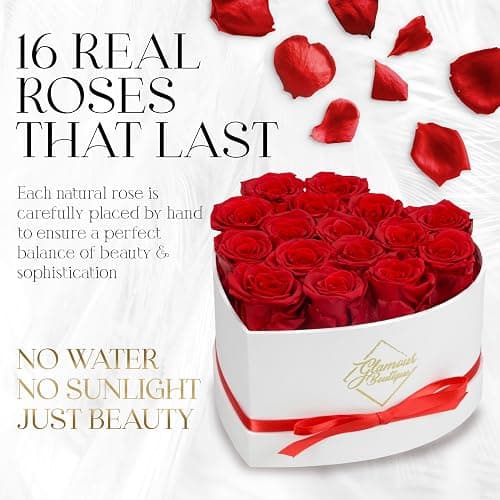 GLAMOUR BOUTIQUE Preserved Roses in a Box - Gifts for Her, Wife & Mom, Rose Flowers Forever Decor for Birthday Gift, Get Well Flower Bouquet Cased in White Box with Cover - Red - 16 (Color-Treated) thumbnail 3