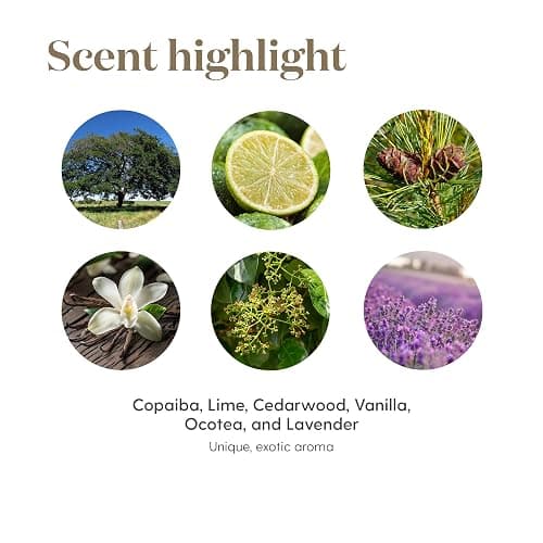 Young Living Stress Away™ Essential Oil Roll-On | 10 ml | Calming Aromatherapy Blend thumbnail 5