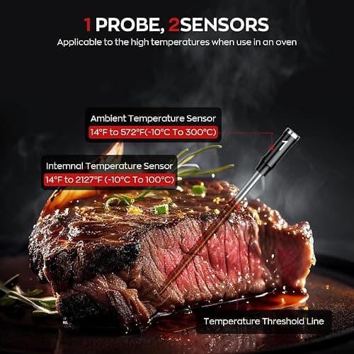 Smart Wireless Meat Thermometer with Dual Probes, Bluetooth & WiFi Combo, High Precision & Fast Response for BBQ, Grill, Smoker, Oven, Air Fryer thumbnail 2