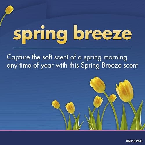 Secret Original Spring Breeze Scent Women's Invisible Solid Ph Balanced Antiperspirant & Deodorant 2.6 Oz by Secret thumbnail 4