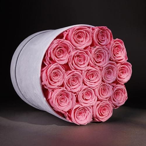 Prifroti 17 Flowers in a Luxury Suede Box, Birthday Gifts for Women, Preserved Flowers, Mothers Day Roses Gift for Mom, Light Pink thumbnail 2