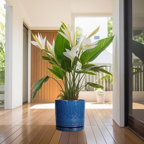 Eightpot Plant Pot Saucer - 11.4 Inch Plant Saucer for Outdoors Ceramic Plant Tray for Indoors No Holes Large Plant Drip Trays Round Flower Pot Saucer Plant Dishes to Catch Water Blue thumbnail 7