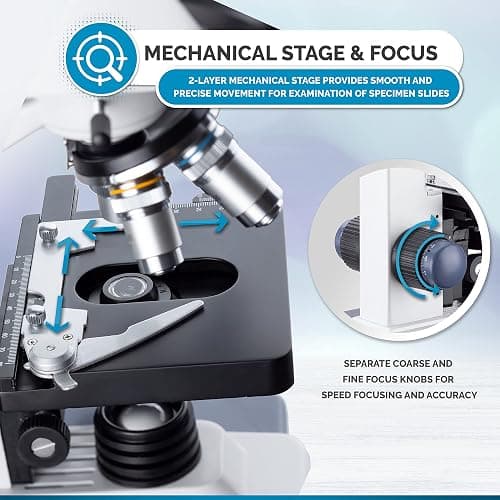 AmScope B120C Series Student & Professional LED Binocular Compound Microscope - 40X-2500X Magnification - Features Siedentopf Head & 3D Mechanical Stage thumbnail 4