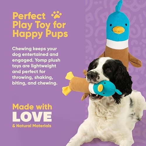 Yomp Plush Duck Dog Toy – Durable Stuffed, No Squeaker Dog Toys with Natural Canvas and Crinkle Paper – Interactive Stuffed Animal for Dogs (Quacker) thumbnail 3